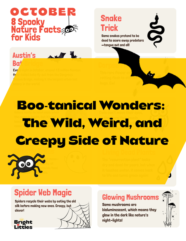 🦇 Free “Spooky Nature Facts” Printable for Kids 👻🦇 Free “Spooky Nature Facts” Printable for Kids 👻